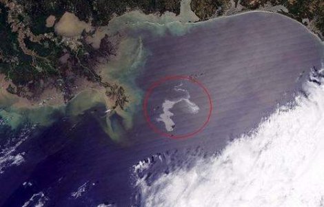 Alerta in Golful Mexic: pungi uriase de petrol