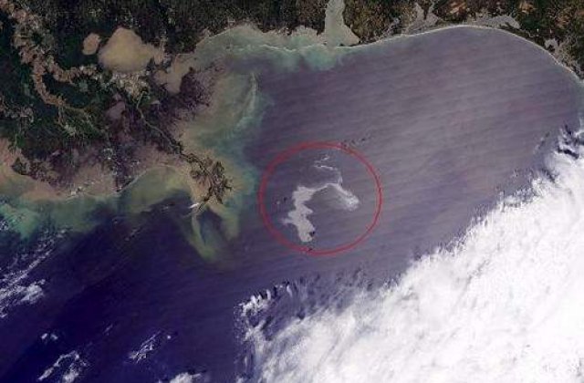 Alerta in Golful Mexic: pungi uriase de petrol