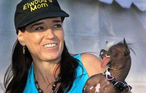  Foto  A murit cel mai urat caine din lume