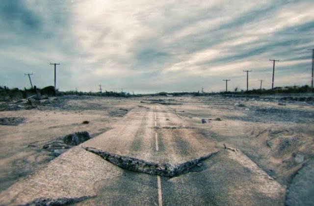 România, țara cu cele mai nesigure șosele din UE. Lipsa gardurilor, pericol pentru șoferi și animale