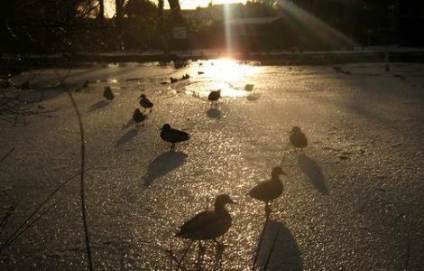 Tunel de autostrada, inchis din cauza unui card de rate