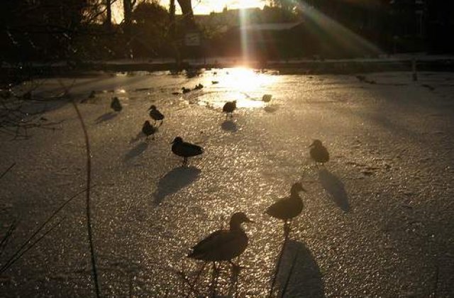 Tunel de autostrada, inchis din cauza unui card de rate