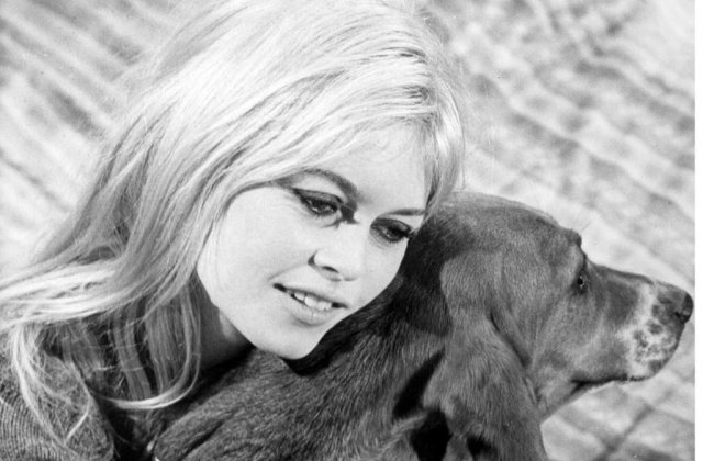 Brigitte Bardot: "Nu eutanasiati cainii comunitari din Romania!"