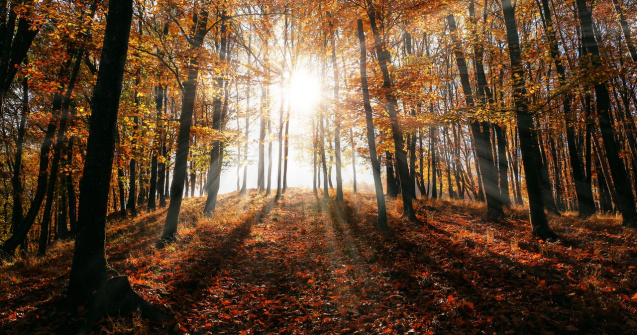 Prognoza meteo pentru sfârșitul lunii octombrie în mai multe regiuni din țară