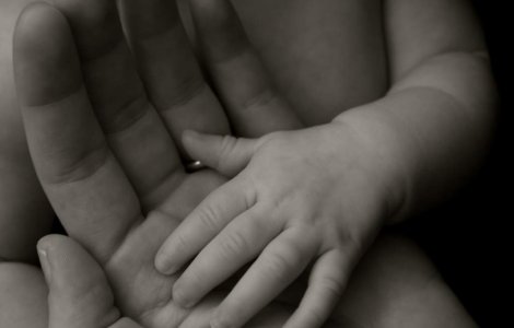 S-a nascut in alimentara