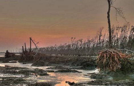 Situatie dramatica in India din cauza ciclonului Laila