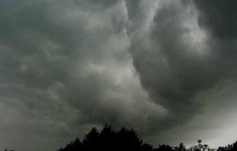 Cod galben de furtuna in Capitala