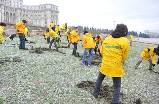 Protest Greenpeace la Parlament: Zeci de activisti, ridicati de jandarmi