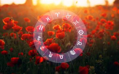 Horoscopul Florilor: Ce...
