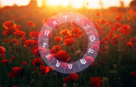  Top  Horoscopul Florilor: Ce floare te caracterizează în funcție de ziua de naștere?