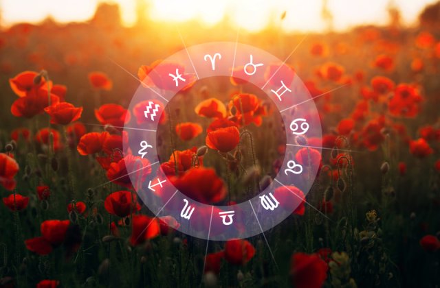 Horoscopul Florilor: Ce floare te caracterizează în funcție de ziua de naștere?