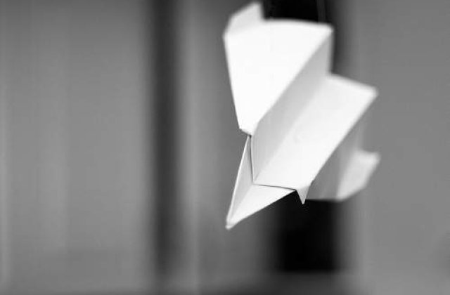 Un indian si-a pierdut 16 rude in accidentul aviatic din India