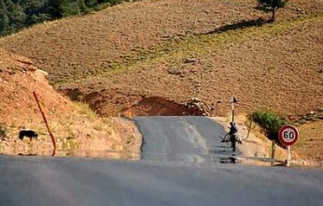 Un politist constantean a accidentat mortal un pieton si a fugit