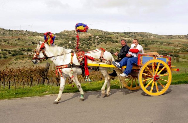 Agigea: Un cal a fost omorat dupa ce si-a ucis stapanul