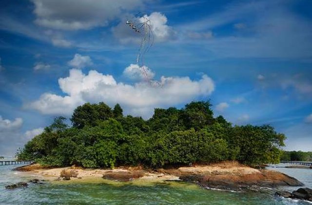 Dezastru ecologic: 2.000 de tone de petrol s-au scurs in stramtoarea Singapore