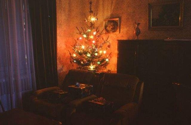 Brad artificial sau natural? PRETURI si RECOMANDARI pentru un Craciun "verde"