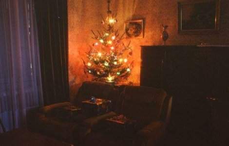 Brad artificial sau natural? PRETURI si RECOMANDARI pentru un Craciun "verde"