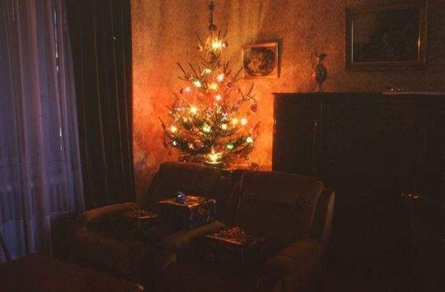 Brad artificial sau natural? PRETURI si RECOMANDARI pentru un Craciun "verde"