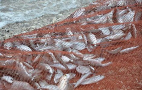 PE: Pescarii nu vor mai avea voie sa arunce prada inapoi in apa