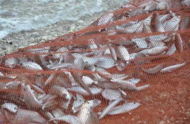 PE: Pescarii nu vor mai avea voie sa arunce prada inapoi in apa