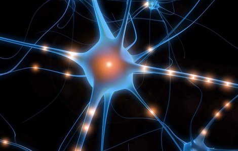 6 medalii pentru Romania la Olimpiada Internationala de Stiinte