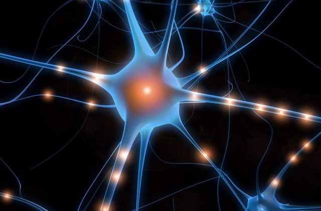 Sase medalii pentru Romania la Olimpiada Internationala de Stiinte pentru Juniori