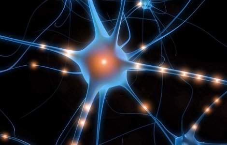 6 medalii pentru Romania la Olimpiada Internationala de Stiinte