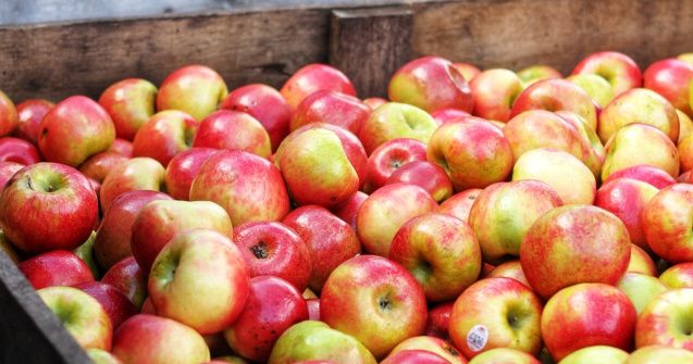 O femeie de 90 de ani a donat 4 tone de mere centrelor din Vrancea