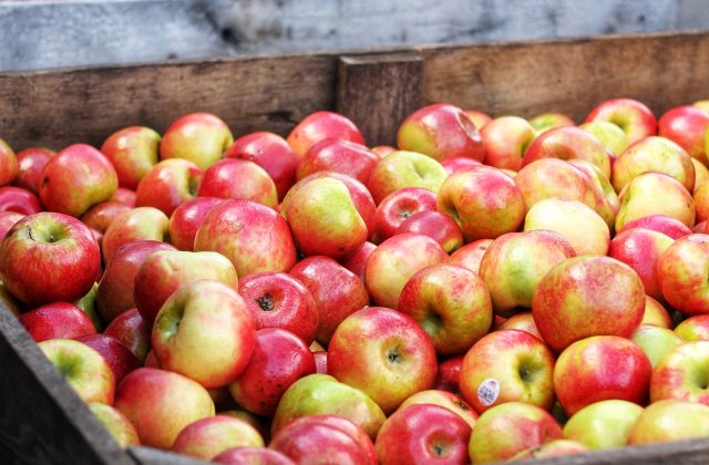 O femeie de 90 de ani a donat 4 tone de mere copiilor și adulților instituționalizați