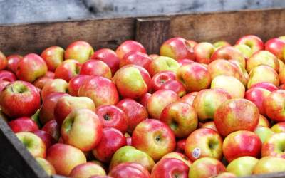 O femeie de 90 de ani a donat...