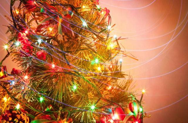 Bradul de Craciun perfect poate fi ales cu ajutorul unei formule de calcul matematic