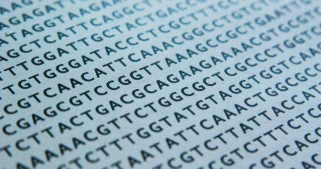 Un al doilea cod genetic din ADN, descoperit de cercetatorii americani