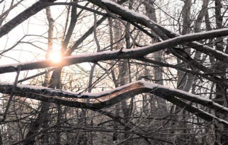 Meteo: Cum va fi vremea in weekend