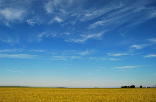 Cum isi ingroapa Romania banii?