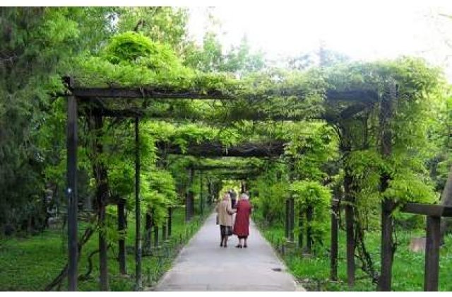 Vrei sa citesti? Fa-o in parc!