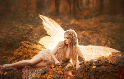  Top  Horoscopul lunii Noiembrie 2021: Află ce îți rezervă astrele în această lună!