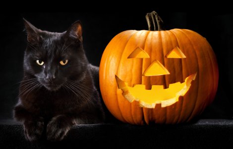  Top  Top 6 cele mai puțin cunoscute superstiții despre Halloween