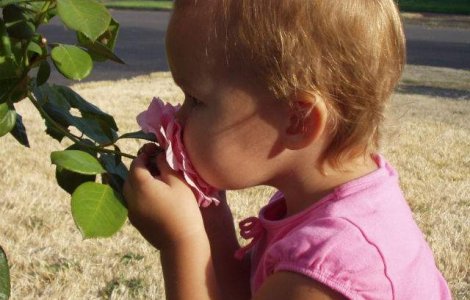 Simtul mirosului difera cu pana la 30% de la o persoana la alta