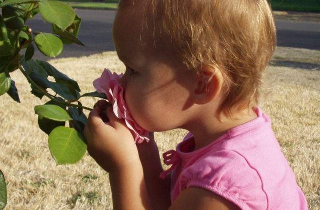 Simtul mirosului difera cu pana la 30% de la o persoana la alta