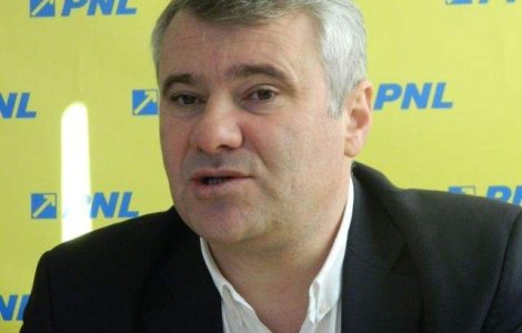 Stirbu, despre comasarea Muzeului Satului cu MTR: Nu sunt de acord