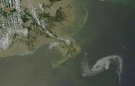 Starurile de la Hollywood cauta solutii pentru pata de petrol din Golful Mexic