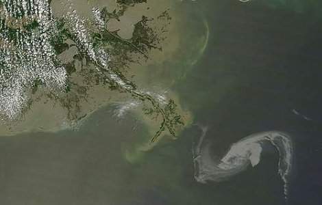 Starurile de la Hollywood cauta solutii pentru pata de petrol din Golful Mexic