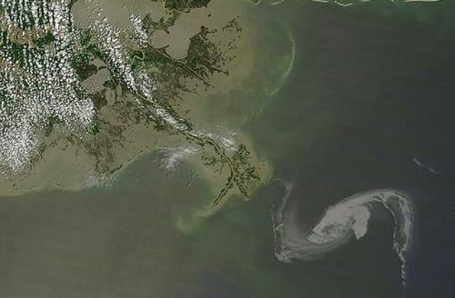 Starurile de la Hollywood cauta solutii pentru pata de petrol din Golful Mexic