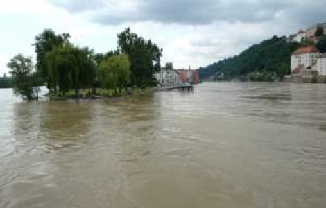 Cod rosu de viituri pe raul Crasna