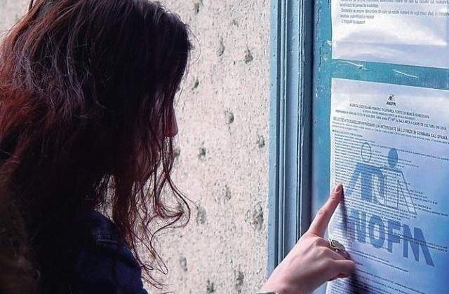 Rata somajului a scazut cu 0,5 puncte in trimestrul al treilea