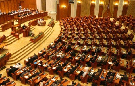 Stelian Tanase, votat in Parlament ca sef al TVR