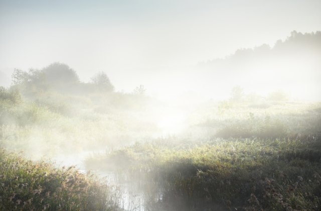 ANM: Cod galben de ceață în 16 județe din țară, în următoarele ore