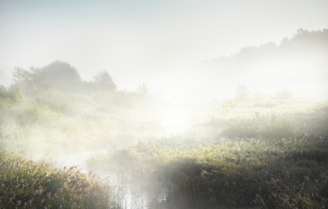 ANM: Cod galben de ceață în 16 județe din țară, în următoarele ore