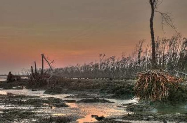 Morti, drumuri blocate, evacuari in urma inundatiilor din Cehia, Ungaria si Slovacia