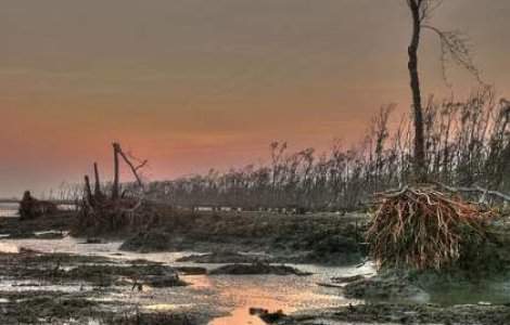 Morti, drumuri blocate, evacuari in urma inundatiilor din Cehia, Ungaria si Slovacia